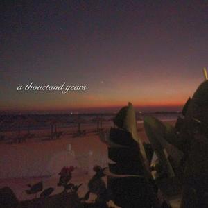 欧美人牲交免费观看
