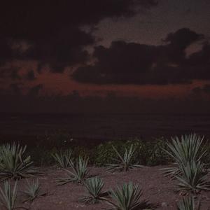 欧美人牲交免费观看
