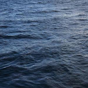 欧美人牲交免费观看
