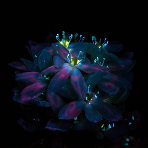 欧美人牲交免费观看
