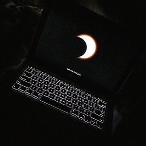 欧美人牲交免费观看
